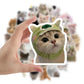 Sophron™ Stickers: Cute Cats - Sophron Studios