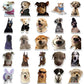 Sophron™ Stickers: Cute  Dogs - Sophron Studios