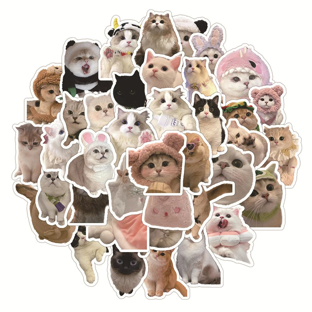 Sophron™ Stickers: Cute Cats - Sophron Studios